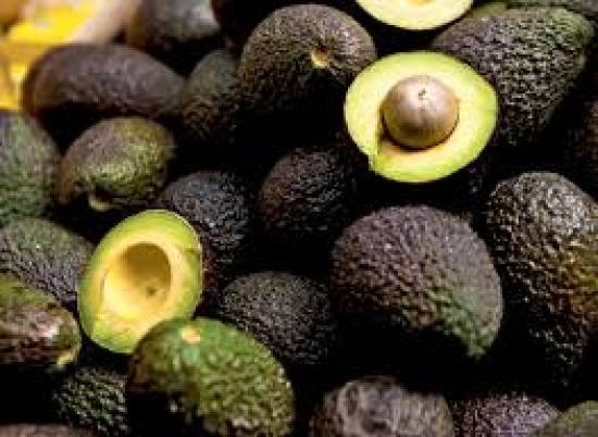 Avocadoes